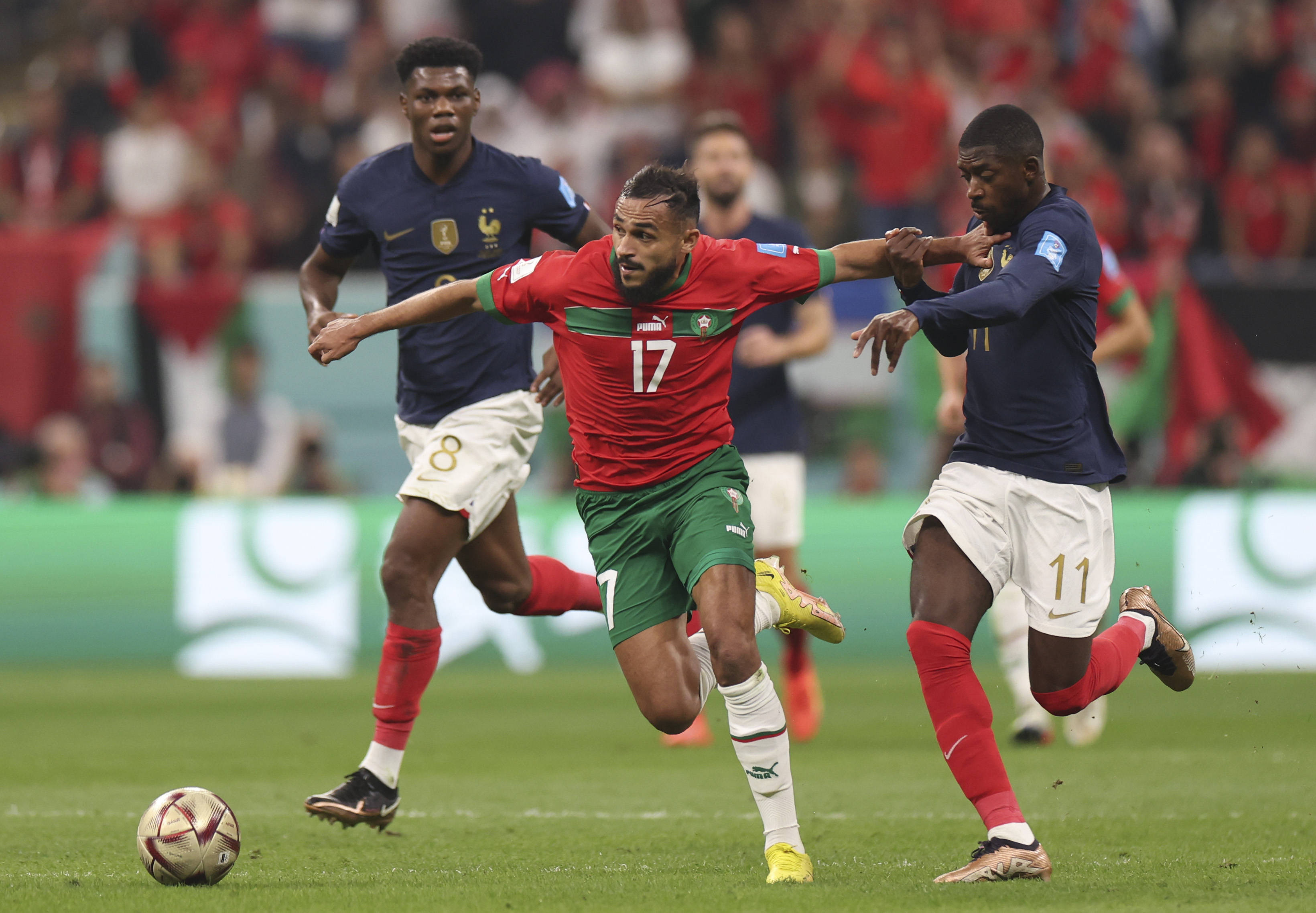 度的球员 度的球员