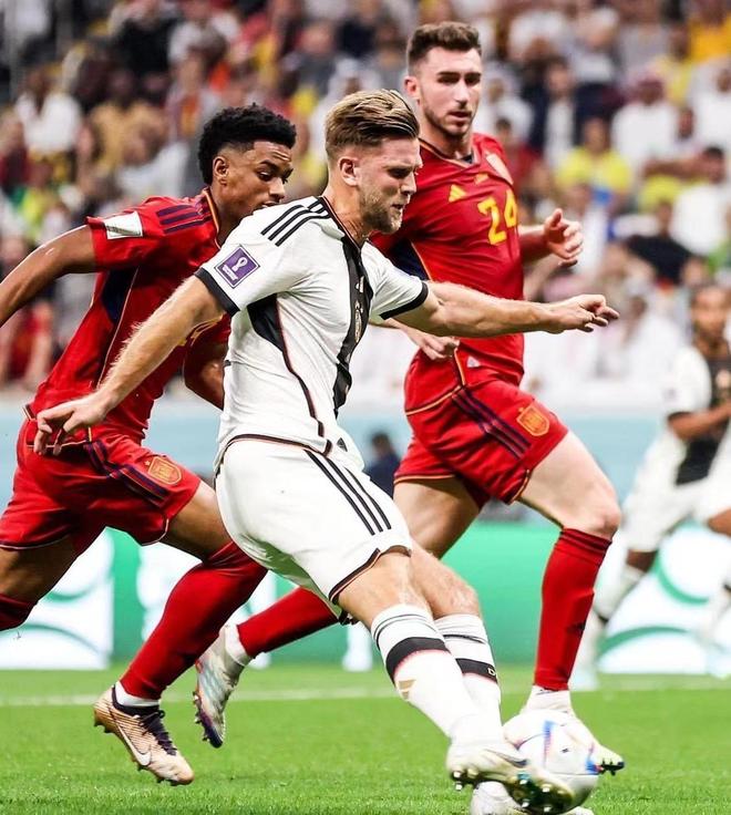 略从不盲目 略从不盲目