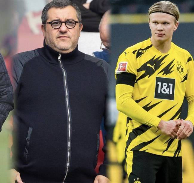 弱化单一博 弱化单一博